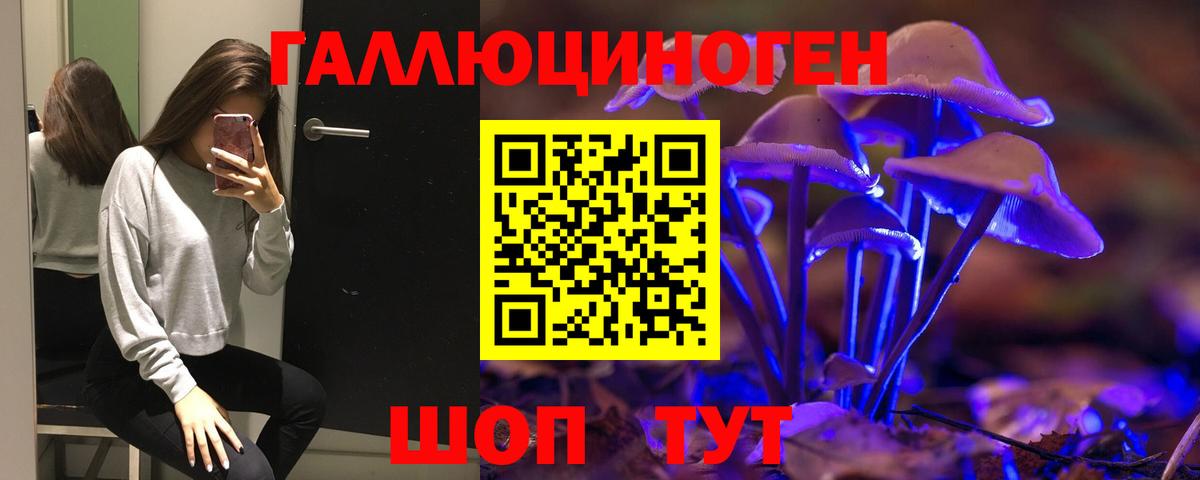 Псилоцибиновые грибы Psilocybe  Вход с VPN  Верхняя Пышма  Псилоцибиновые грибы Psilocybine cubensis 